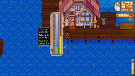 anchovy stardew valley Anchovy
